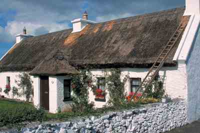 Natural Home Goes to Ireland Image